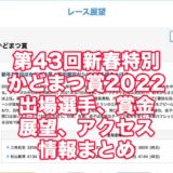 第43回新春特別かどまつ賞2022(多摩川競艇)アイキャッチ