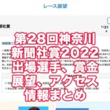 第28回神奈川新聞社賞2022(多摩川競艇)アイキャッチ
